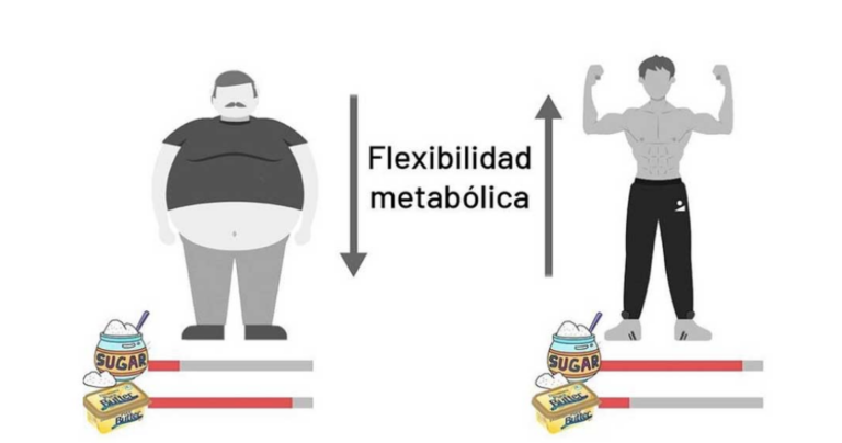 flexibilidad-metabolica-1