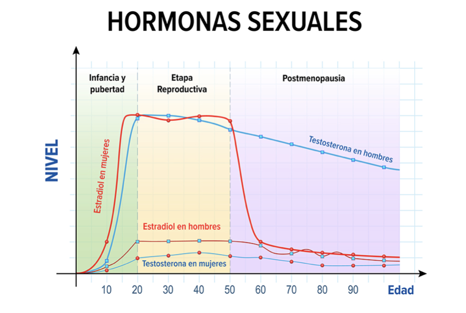 menopausia-2