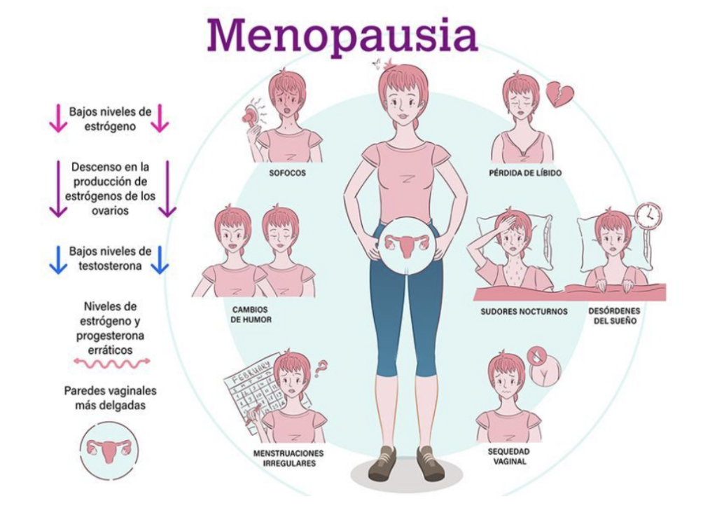 menopausia-3