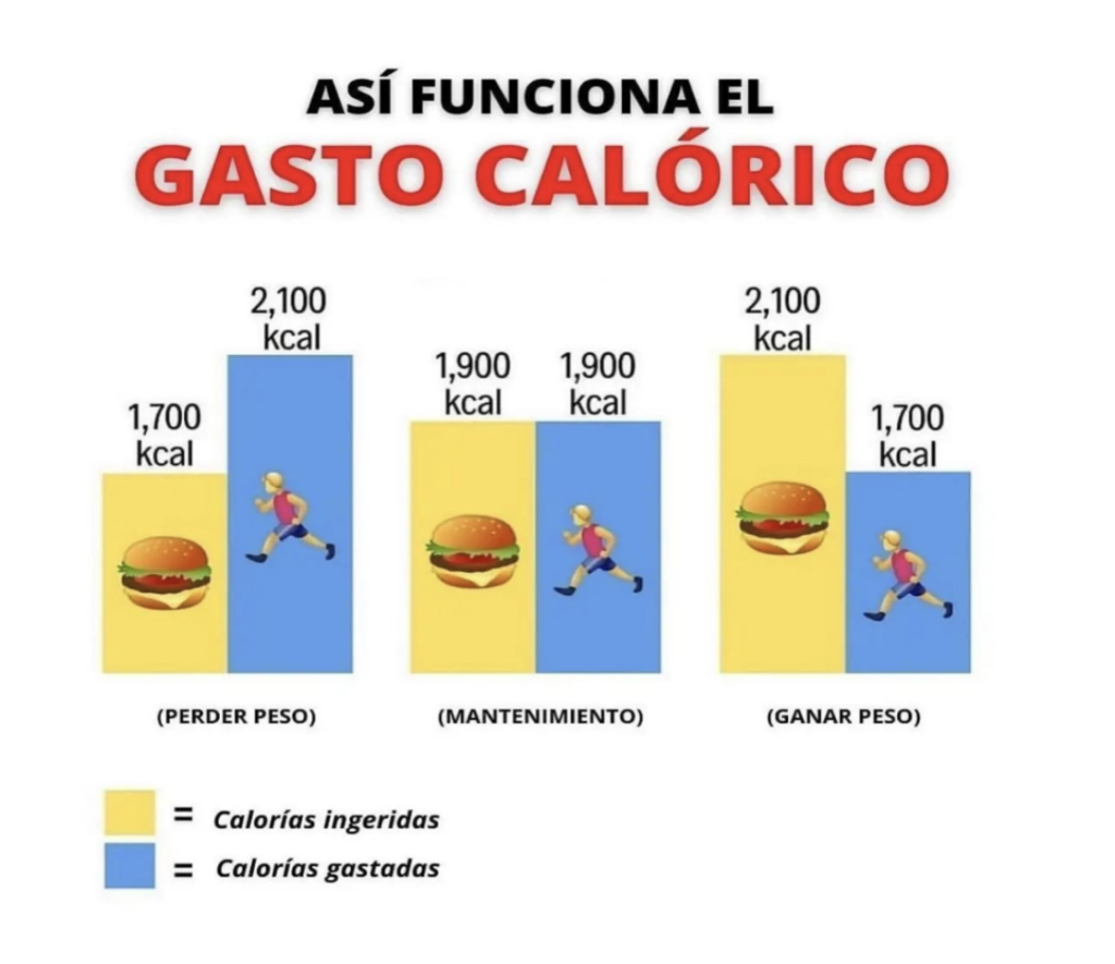 balance-energetico-vida-activa-saludable-2